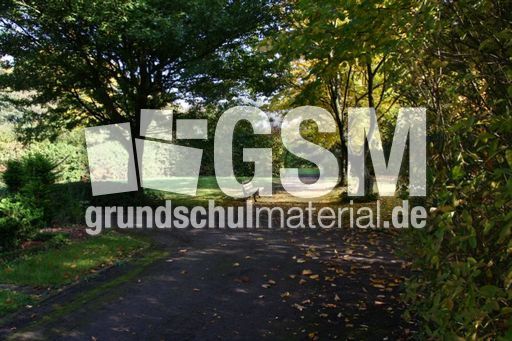 Herbst-Friedhof 002.jpg